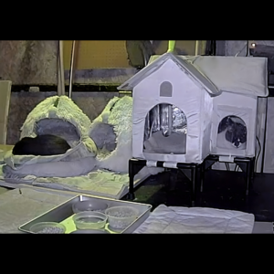 Hut Heated House 1300 1 300x300