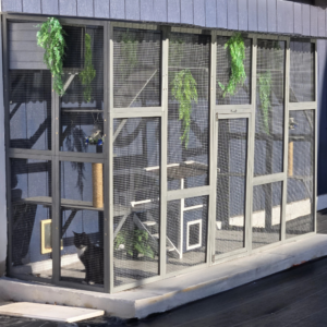 catio latest 01 04 2026 1k px png300